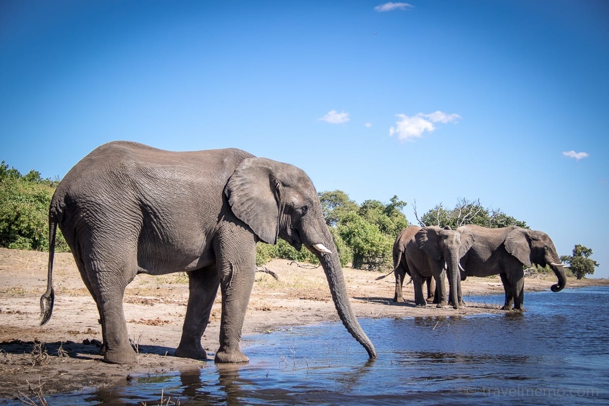 Chobe National Park