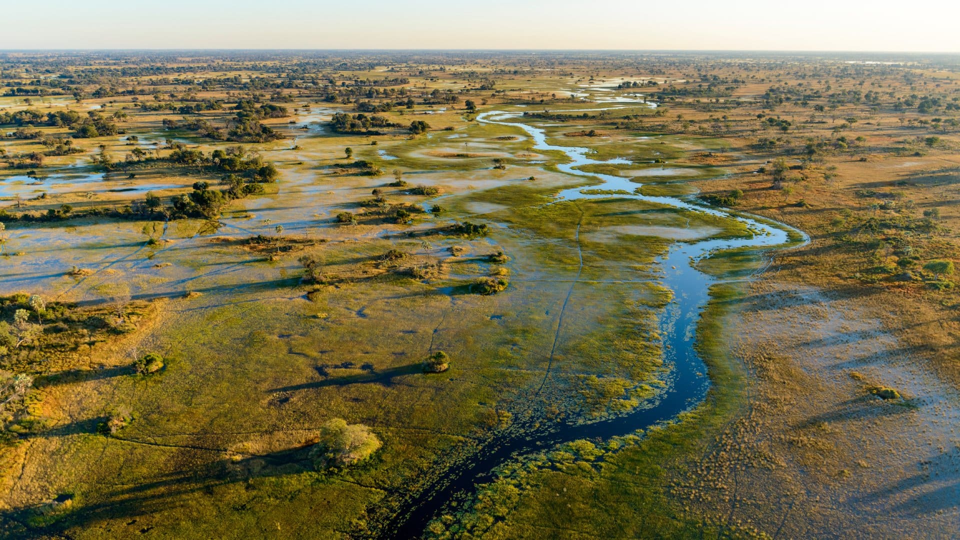 Botswana safari landscape