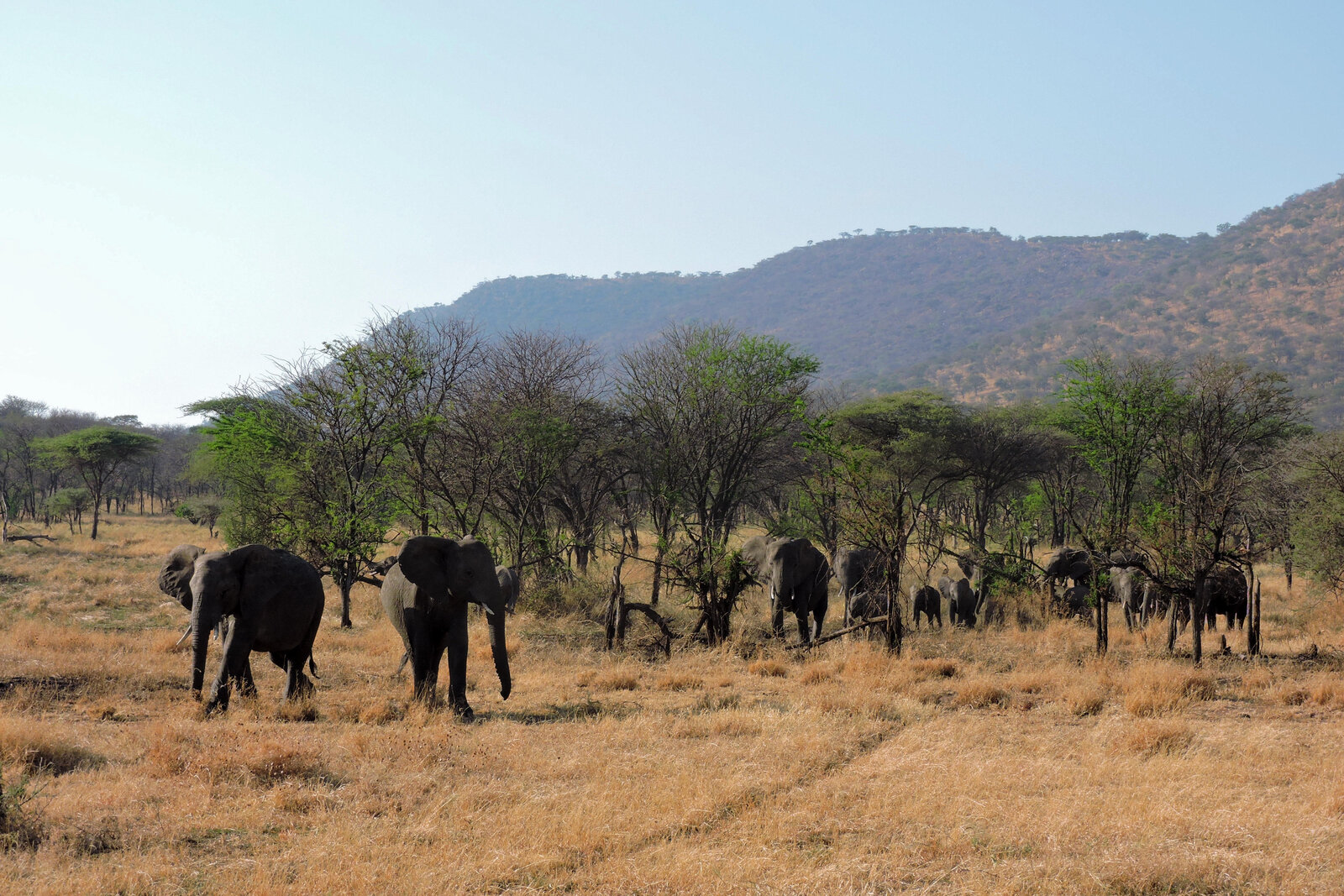 Vast open plains of the western Serengeti Corridor