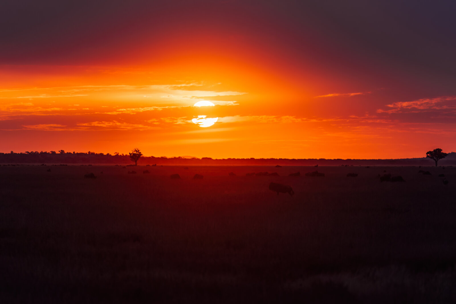 Fiery Serengeti sunset over the Western Corridor