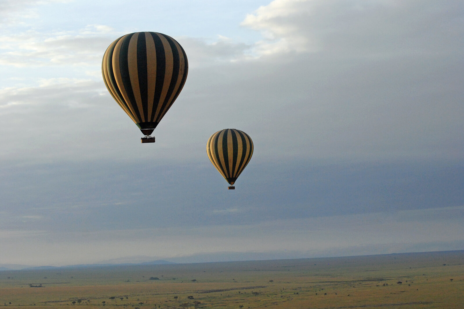 Hot-air balloon safari drifting over the Masai Mara at dawn