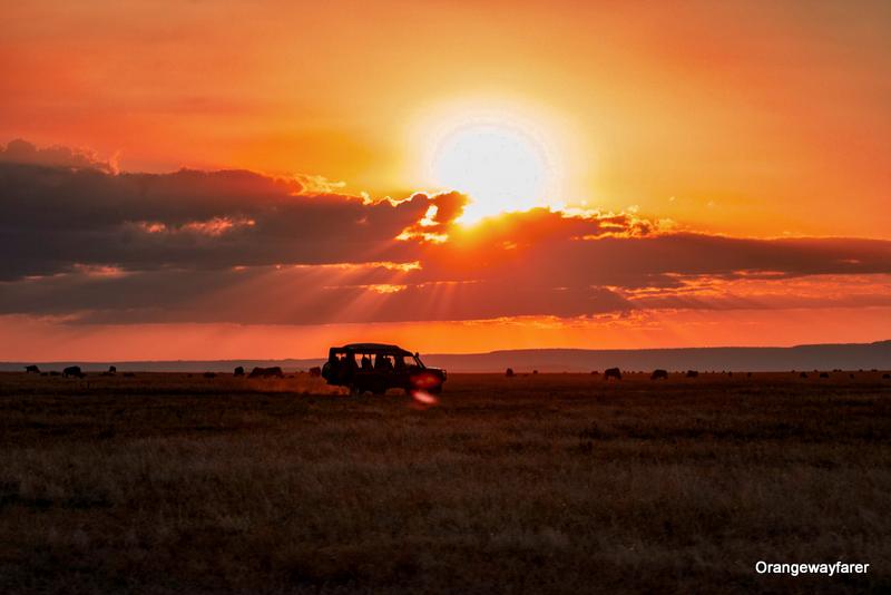 Kenya safari landscape