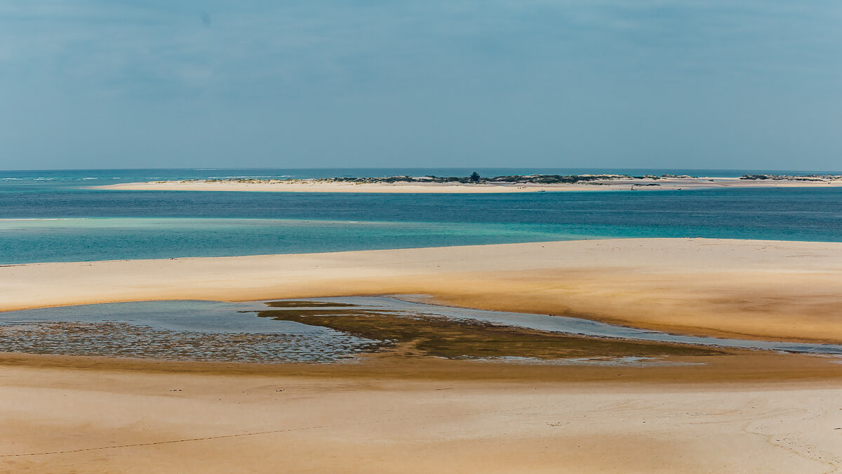 Mozambique safari landscape