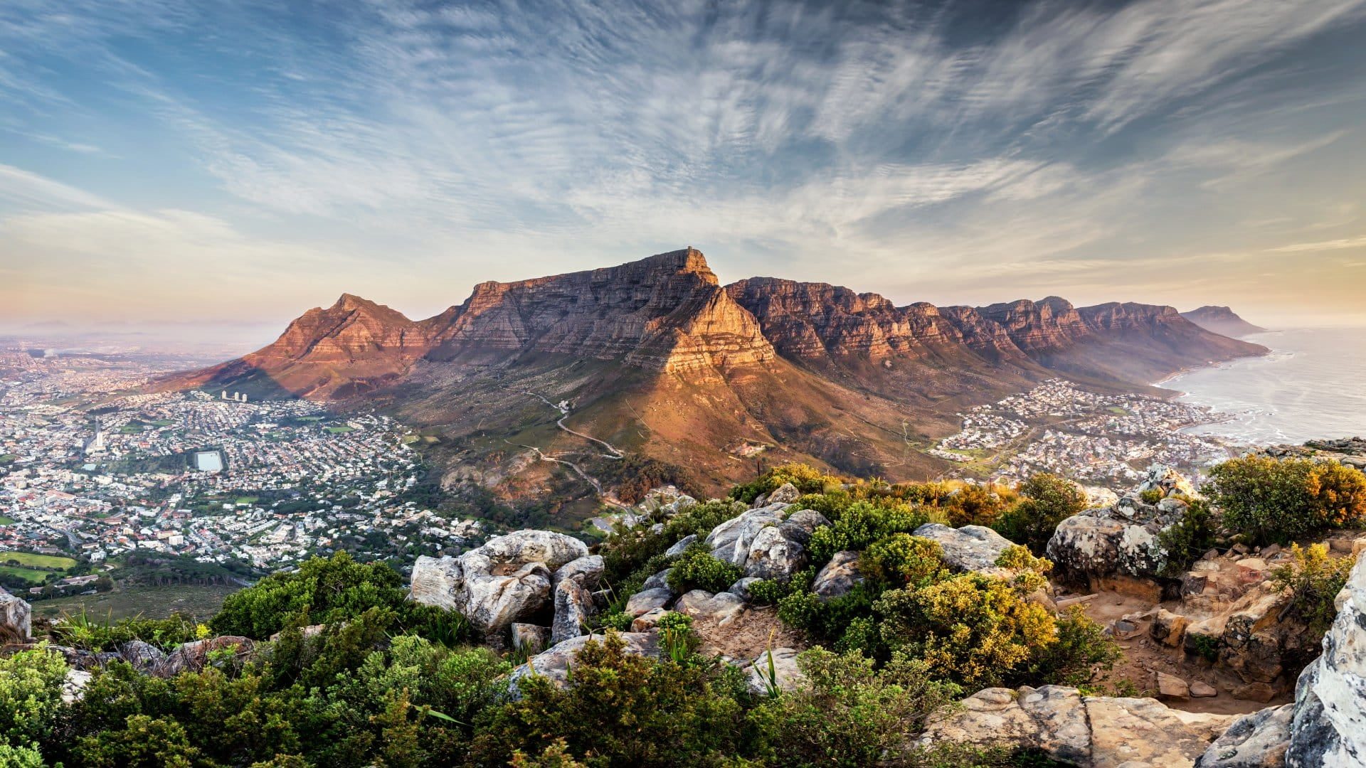 South Africa safari landscape