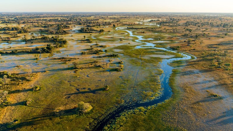 Okavango Delta Luxury Safari