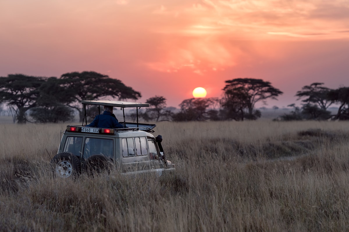 Okavango Delta Adventure